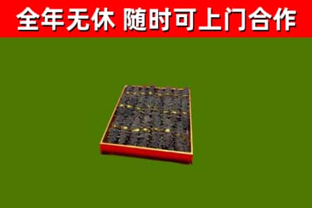 密云区回收海参
